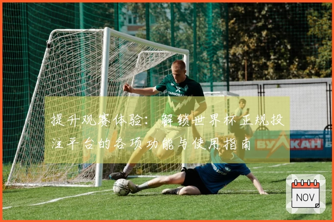 提升观赛体验：解锁世界杯正规投注平台的各项功能与使用指南